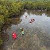 Kayaking at Vita Isola