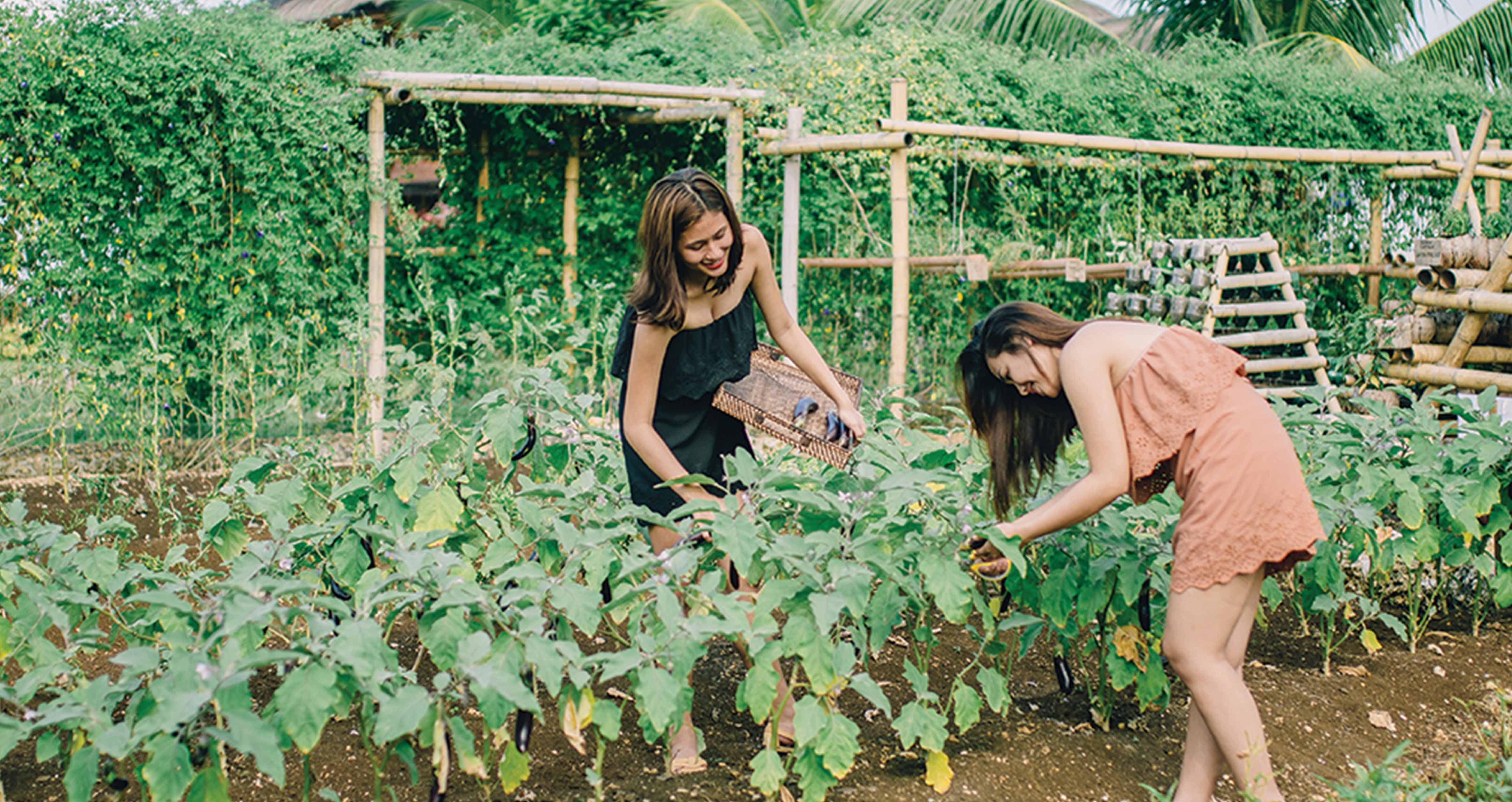 2 Girls at Vita Organic Garden